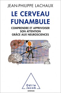 cerveau funambule